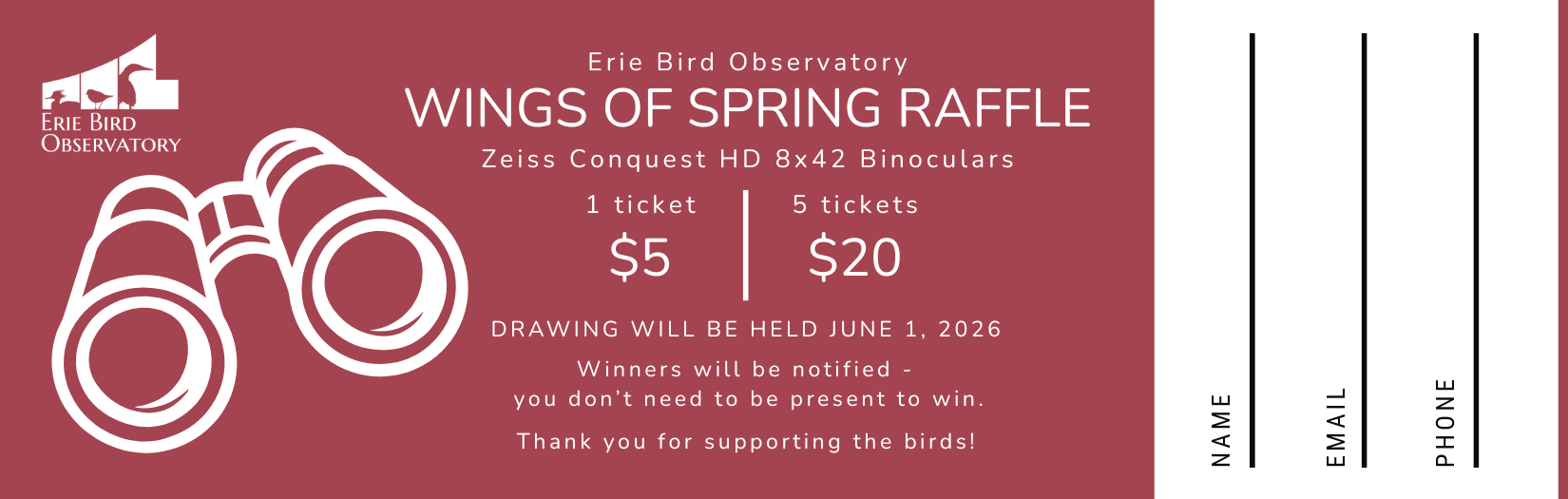 Raffle ticket (3).png